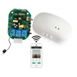 Tubular Motor 2 Channel Universal Receiver in UAE